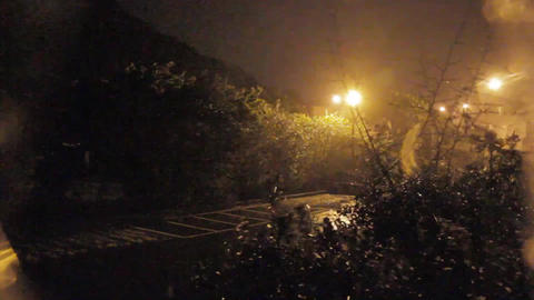 Trees blowing during strong wind and rain in a typ