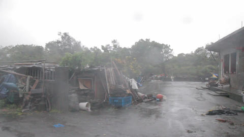 Typhoon matmo