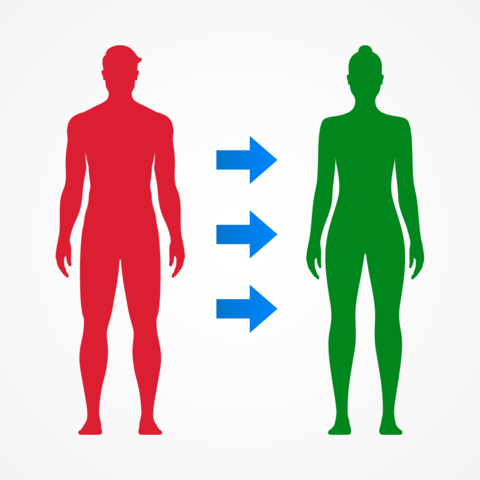 Gender transition from man to woman, concept vector illustration