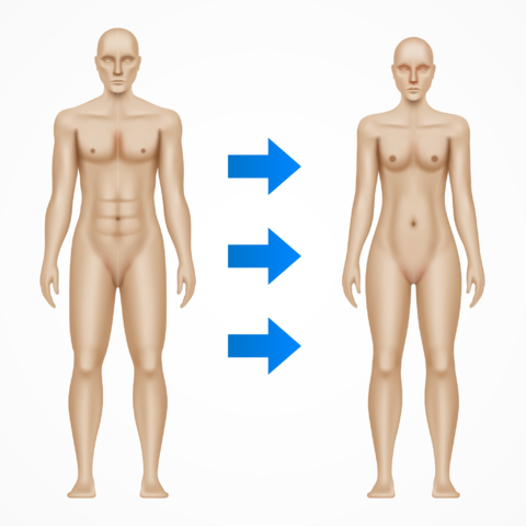 Gender transition from man to woman, concept vector illustration