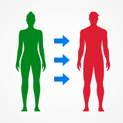 Gender transition from man to woman, concept vector illustration