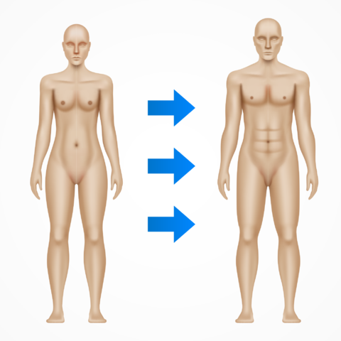 Gender transition from man to woman, concept vector illustration