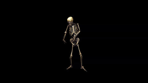 Skeleton Dance Stock animation 38141982 | MotionElements