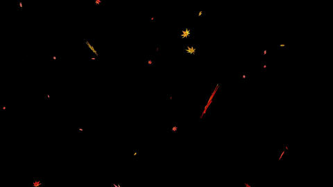 Japanese maple snowstorm_red yellow_transparent background