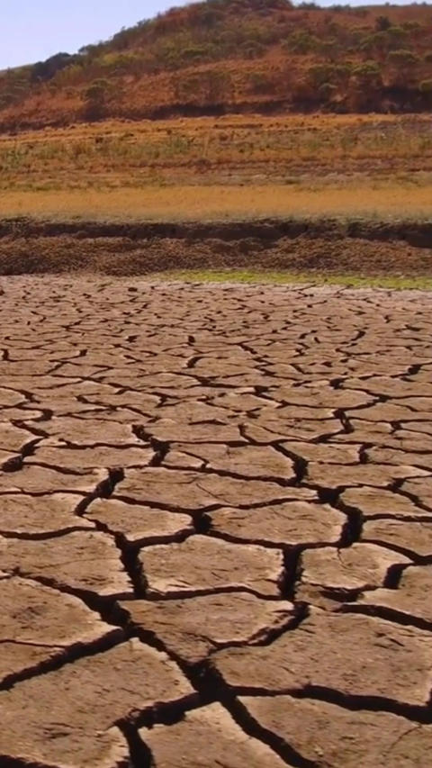 Drought, climate change cracked earth. Barren land, famine, disaster, soil, weather. Global warming