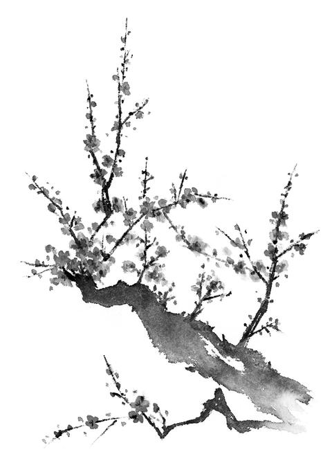 Ink painting illustration of plum tree