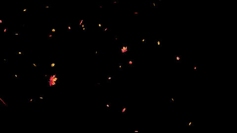Maple Snowstorm_Red Yellow_Transparent Background