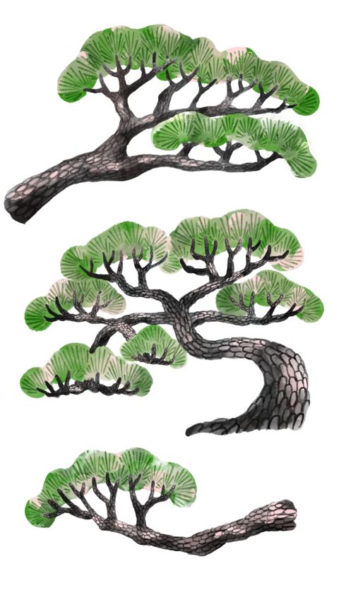 Sumi-e style illustration of pine