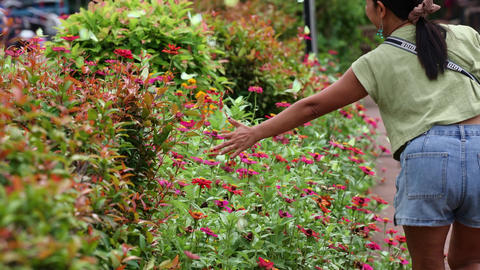 A woman walks down a path and hundreds of butterflies are flying
