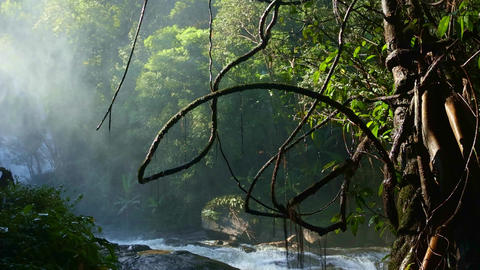 Misty and foggy atmosphere near the Wachirathan waterfall