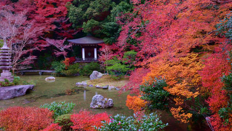 Beautiful autumn scenery in Japan