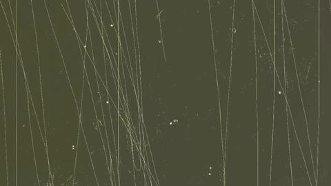 Glitch Transition Animation HD