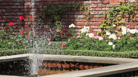 rose garden with a fountain
