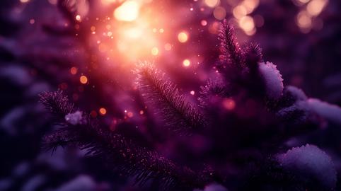 Purple winter wonderland glowing with lights and snow on pine branches during the festive season