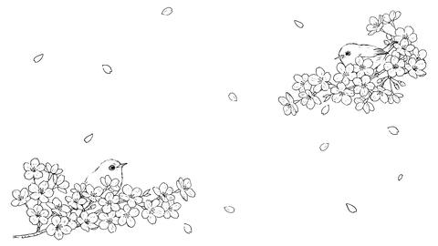 Pen drawing of Japanese white-eye and cherry blossoms