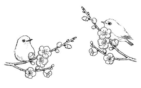 Pen drawing of Japanese white-eye and plum blossoms