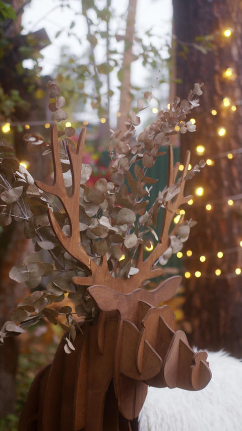 UHD Cartoon Reindeer Animation