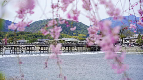 KAZE_TO_MORI カゼトモリ glow bridge Venture across some of Japan's most enchanting bridges