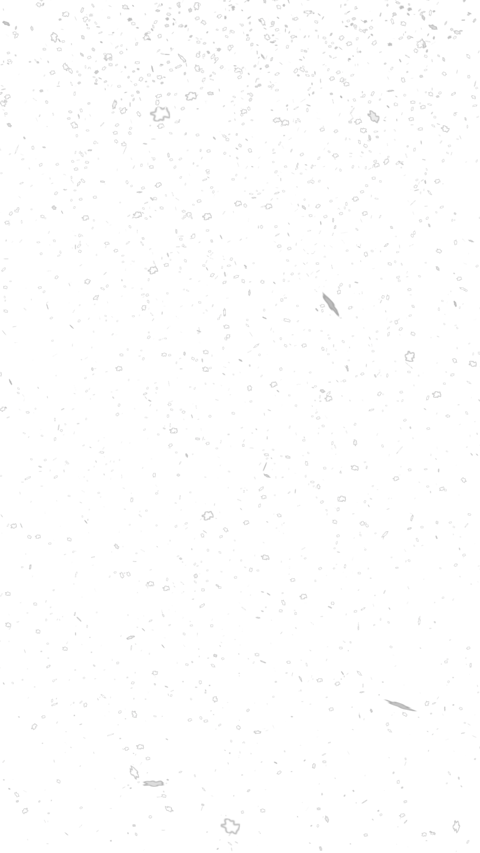 Falling snow overlay layer on transparent background. Alpha channel included