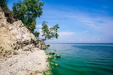 Tree on the rocky shore at summer day