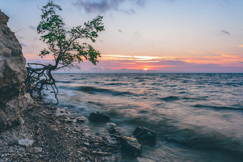 Tree on the rocky shore at sunrise