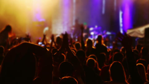 Hands and Heads of Spectators at a Concert