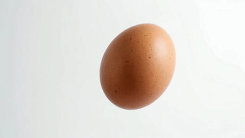 Egg flying