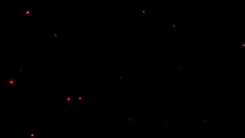 Particular_glitter_EF(5 Color variations)