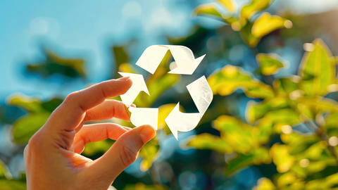 Environmental Conservation Concept with Globe in Hand