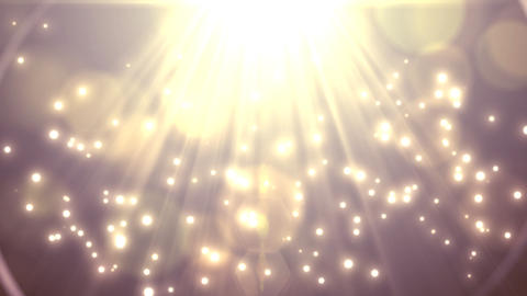 Shine Particular_EF