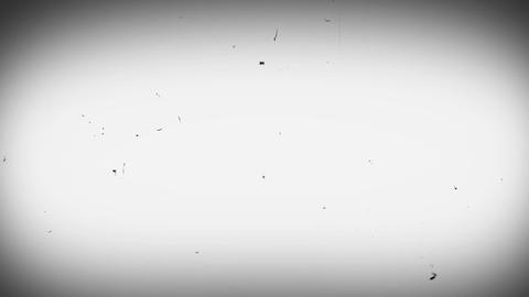 8000無料動画素材, 著作権フリーストックビデオ