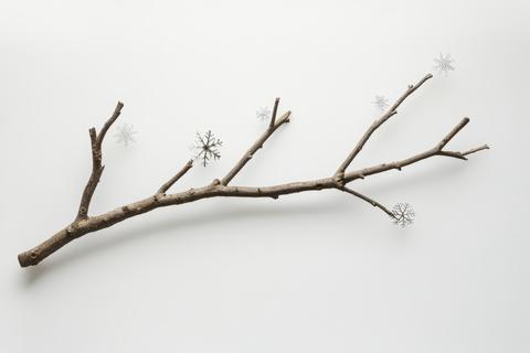 Branch with snowflakes on it