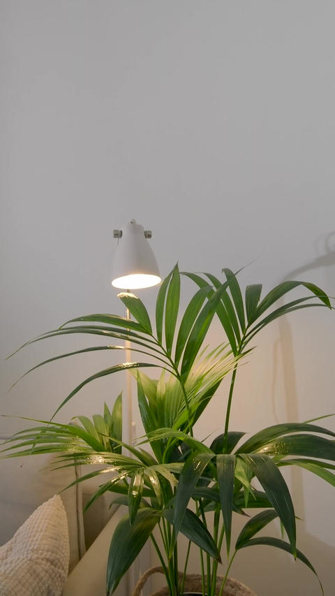 Byggnader・Natur