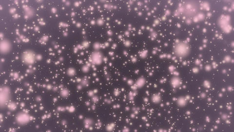 Spring Sakura Rain