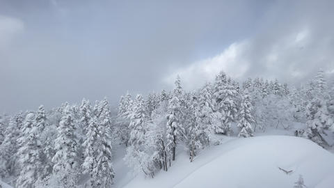 Winter Snowy Landscape in Japan Nature Photography Serene Environment Aerial View Tranquil Concept