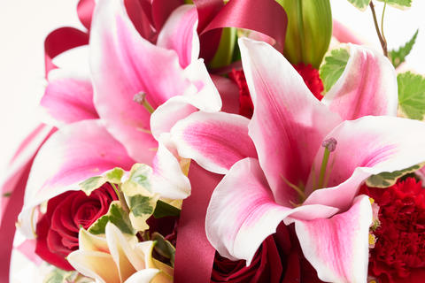 A refreshing pink bouquet image
