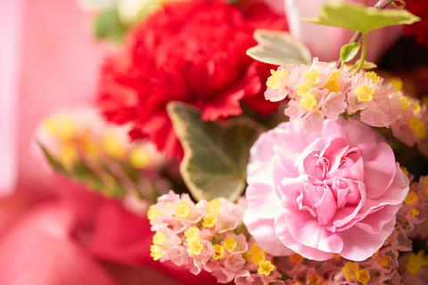 A refreshing pink bouquet image