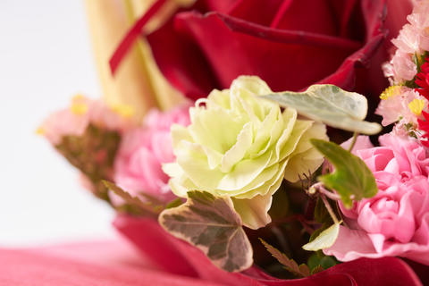 A refreshing pink bouquet image