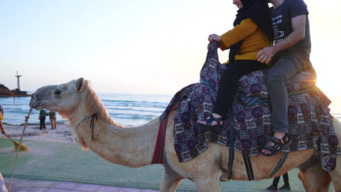 View Of The Island And A Man And Woman Riding A Camel GIF 46272737 ...