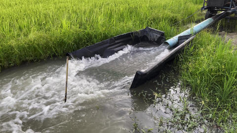 Industrial pipe draining water into a natural stream, flowing water