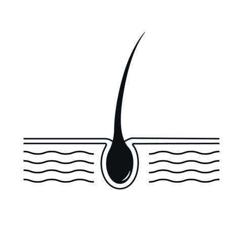Black Hair Follicle Icon on White Background