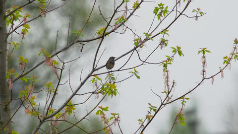 Djur・Natur
