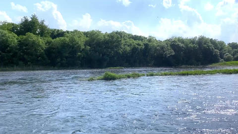 Gentle River Flow Surrounded by Nature
