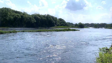 Gentle River Flow Surrounded by Nature