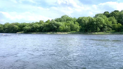 Gentle River Flow Surrounded by Nature