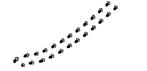 Gentle trail of bunny footprints marks a playful journey across soft snow at