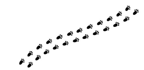 Bunny footprints create a whimsical trail across the soft, untouched snow on a