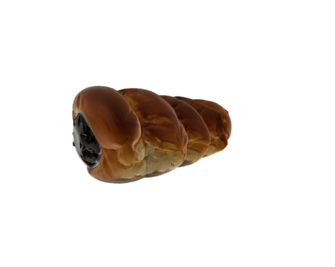 Choco Cornet 3D Model