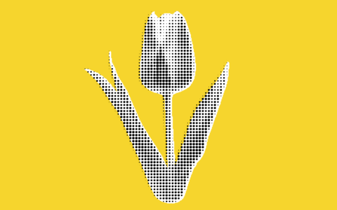 Stylized Tulip Illustration on Yellow Background