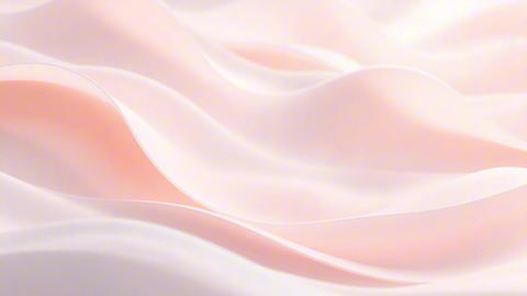 48066593